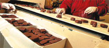 women on chocolate factory line